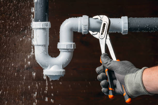 Professional Emergency Plumber technician working in Pine Island, MN